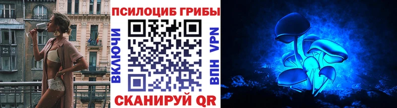 как найти наркотики  Ливны  Псилоцибиновые грибы Psilocybe 